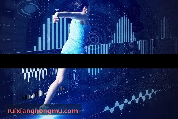 MK体育官方网站 - 精彩赛事直播与体育资讯平台标杆客户学员日常体能集训
